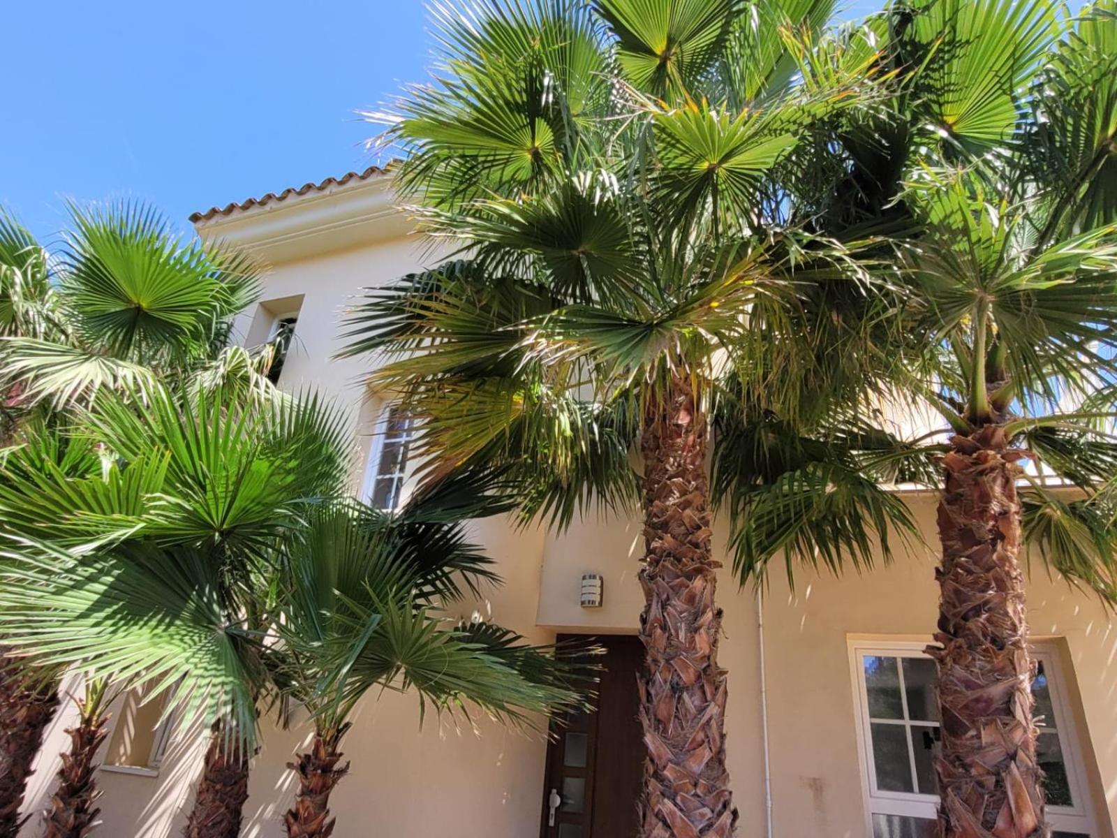 La Esperanza Holiday home Cala Murada (Mallorca)